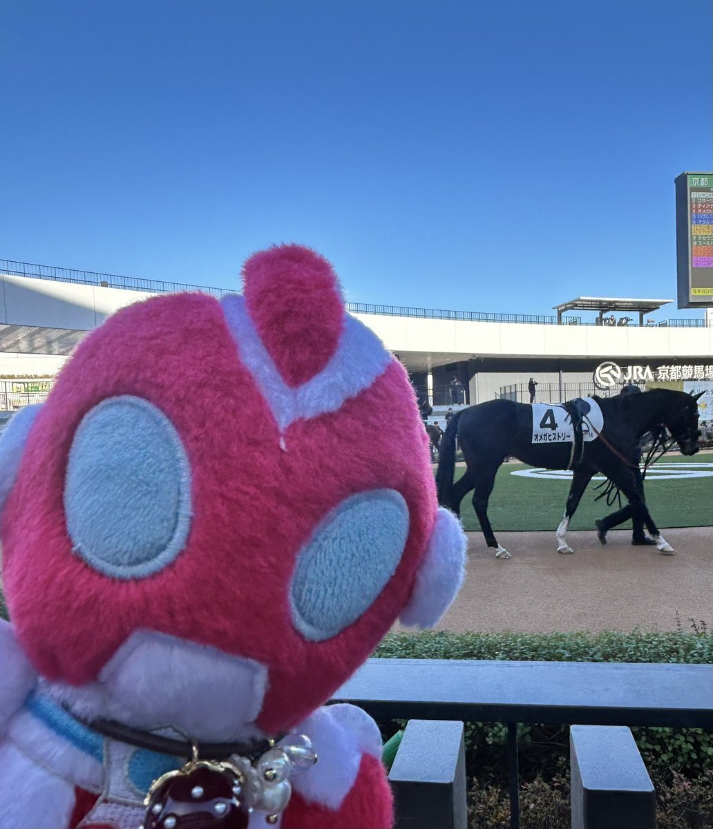 オメガヒストリー、京都1Rで穴馬として注目を集める