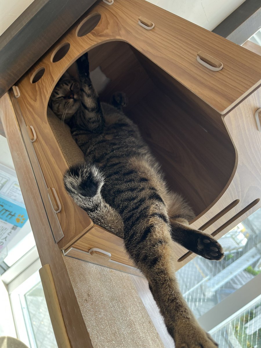 「テレフォン人生相談」でどんな悩みが語られている？