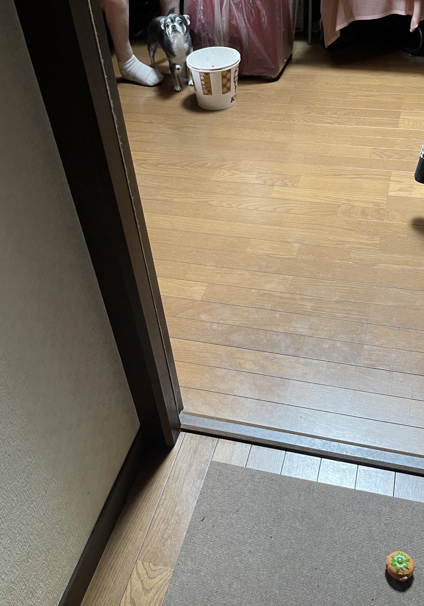 デニー玉城」のYahoo!リアルタイム検索 - X（旧Twitter）を