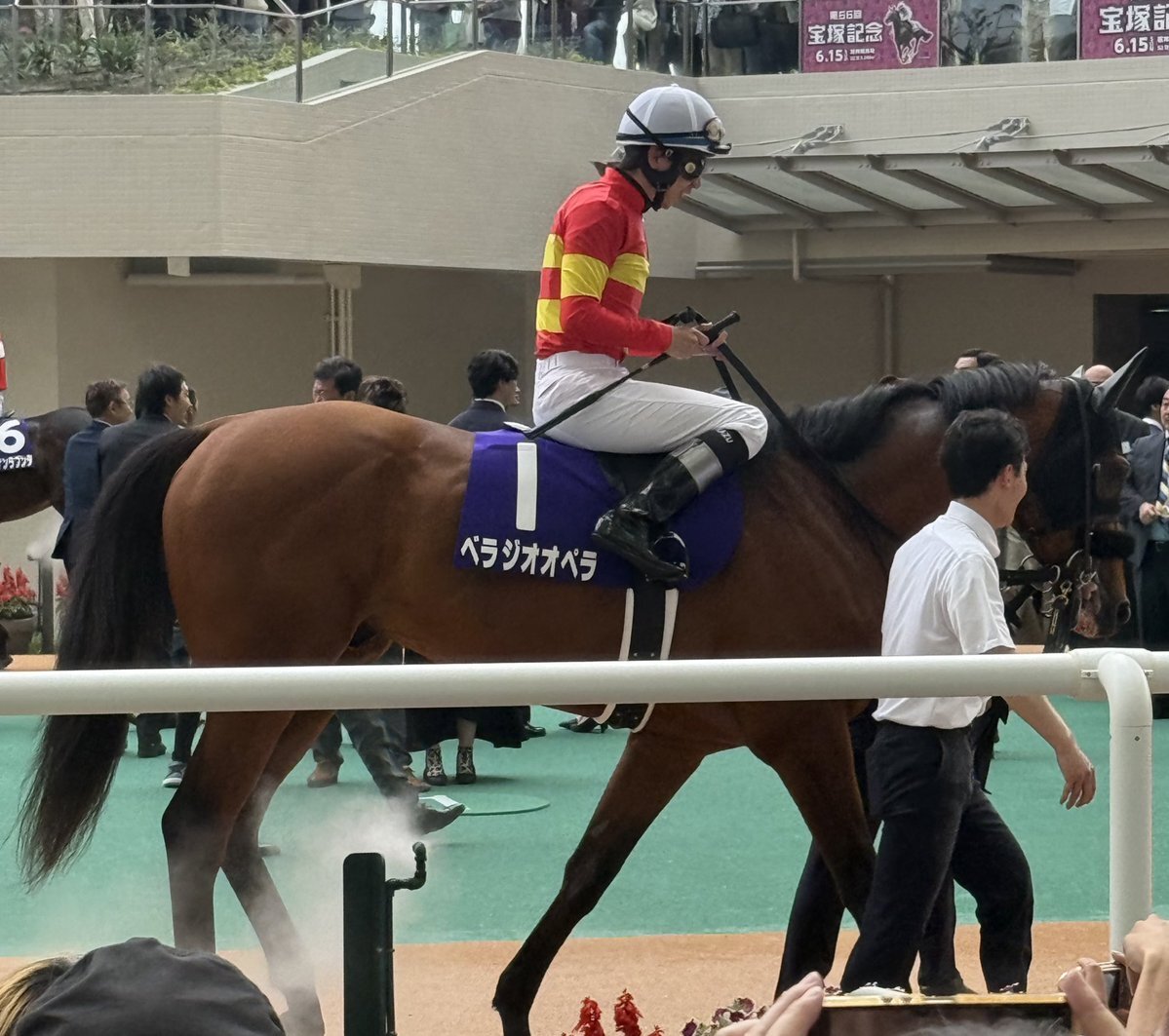 ベラジオオペラ、大阪杯連覇馬が種牡馬入りへ