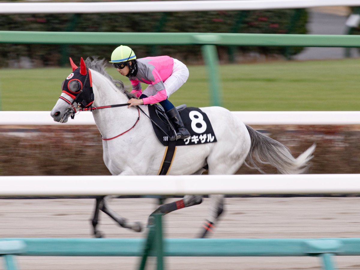 ゲキザル、準オープンで2着！ファン歓喜！ 