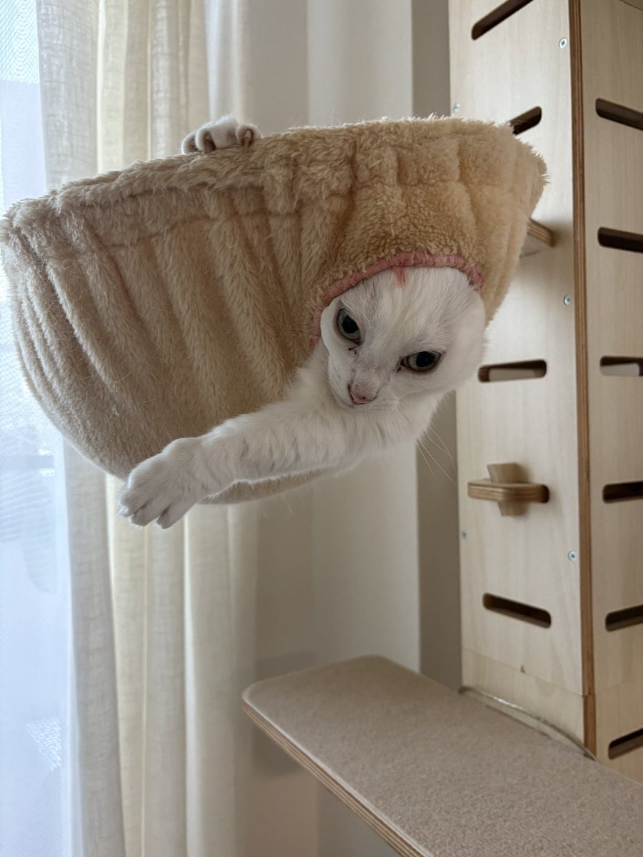 NANA」のYahoo!リアルタイム検索 - X（旧Twitter）を