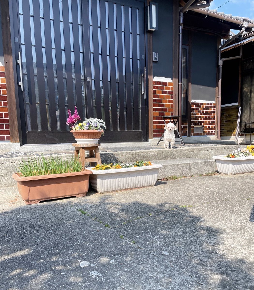 裏垢　くぱぁ　ＪＣ 顔出し 