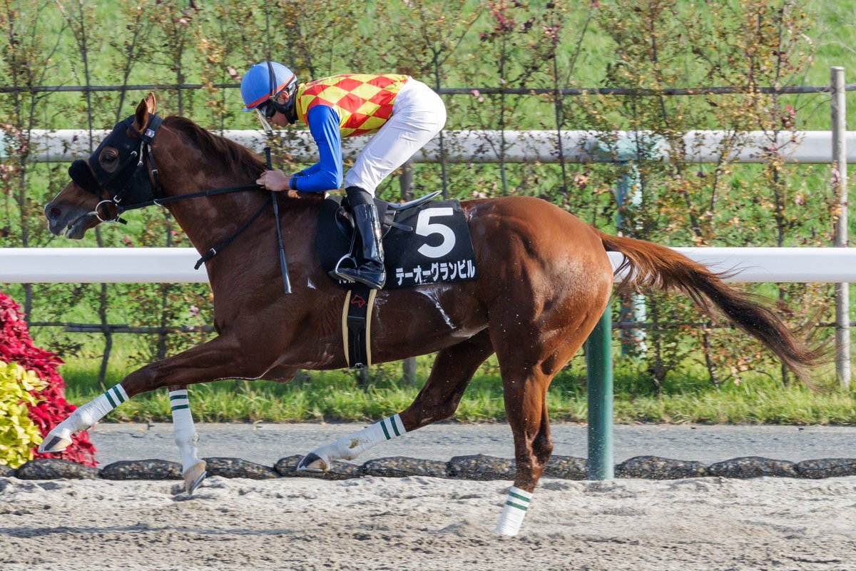 テーオーグランビル、ダートで圧勝！