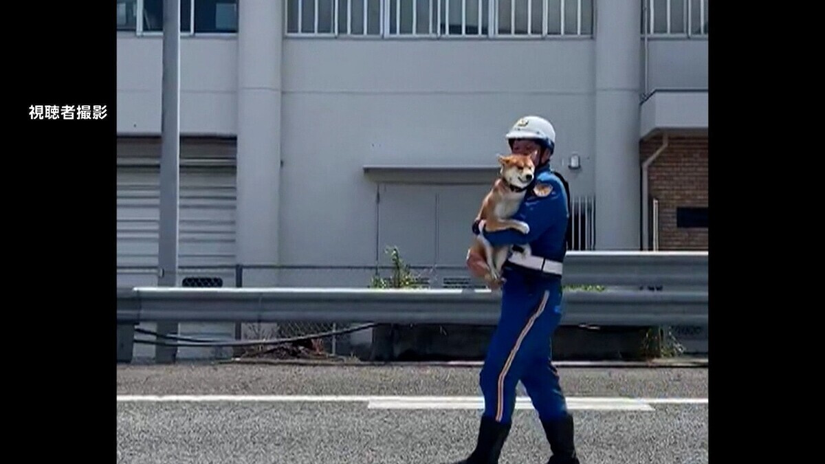 高速道路」のYahoo!リアルタイム検索 - X(旧Twitter)を 高速道路」のYahoo!リアルタイム検索 - X(旧Twitter)を