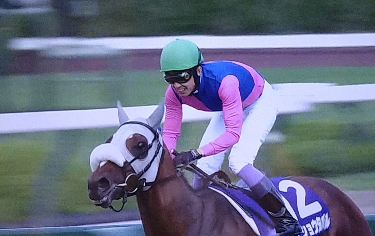 競馬探偵Xの大正解: 2010年秋冬&2011年金杯までの予想 | 競馬