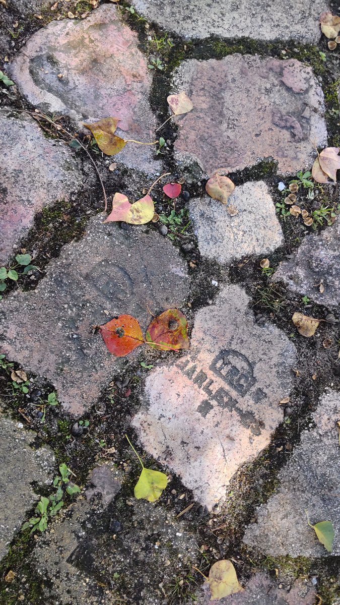 どんど晴れ、夏美の行動に視聴者から批判殺到