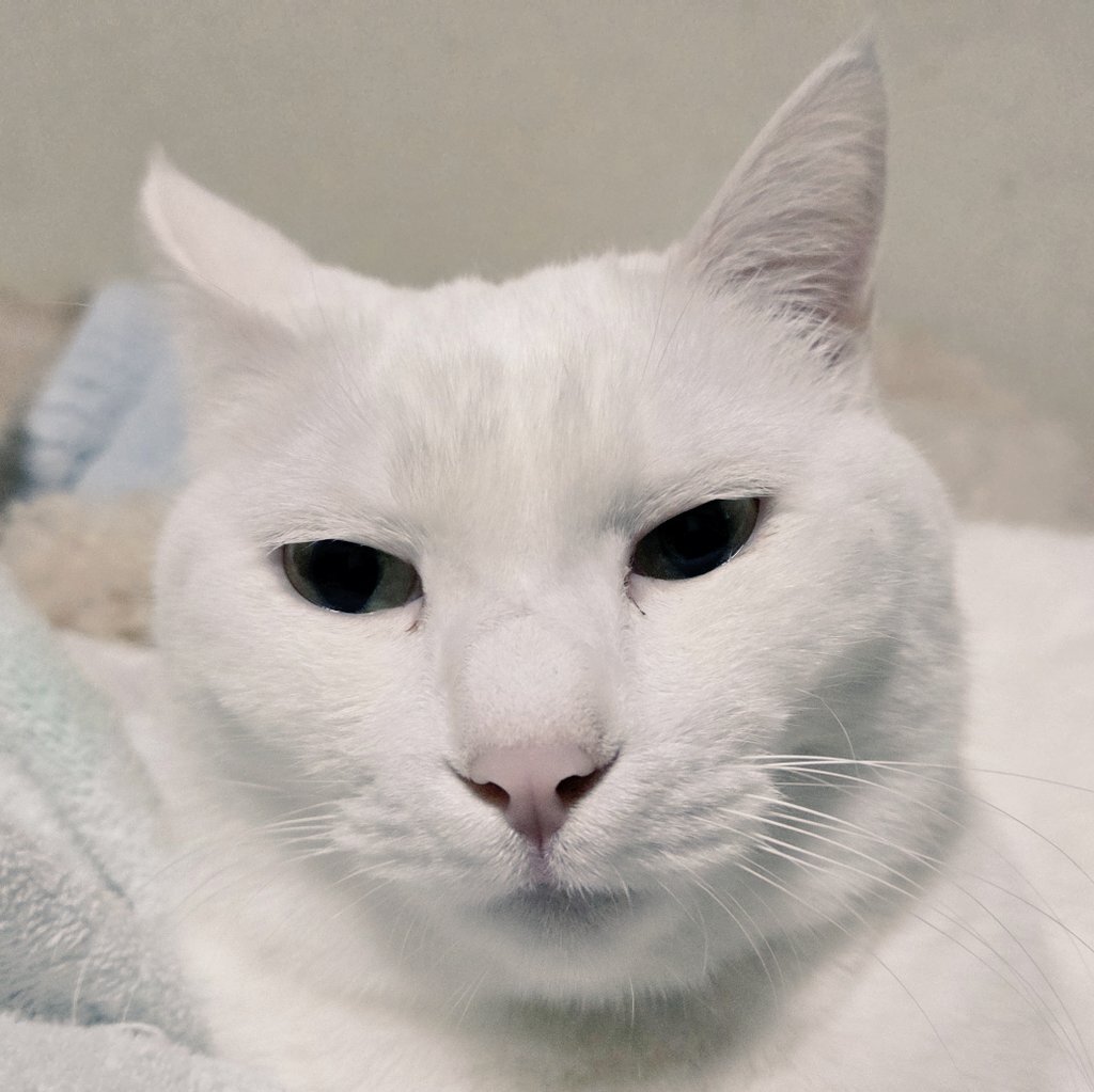 昭和の謎 3億円事件 記憶に刻まれた未解決事件 