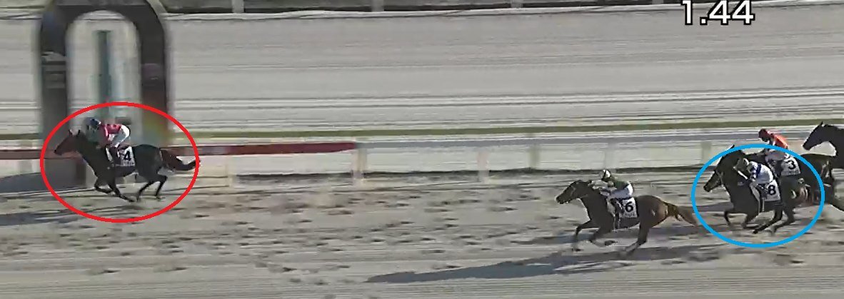 大井競馬1R、トップダイヤが圧勝！的中したあなたは？