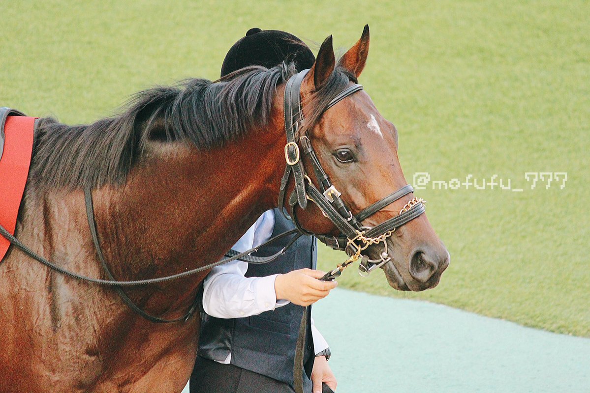 福島記念予想がSNSで熱狂！ 競馬ファンが熱いバトル