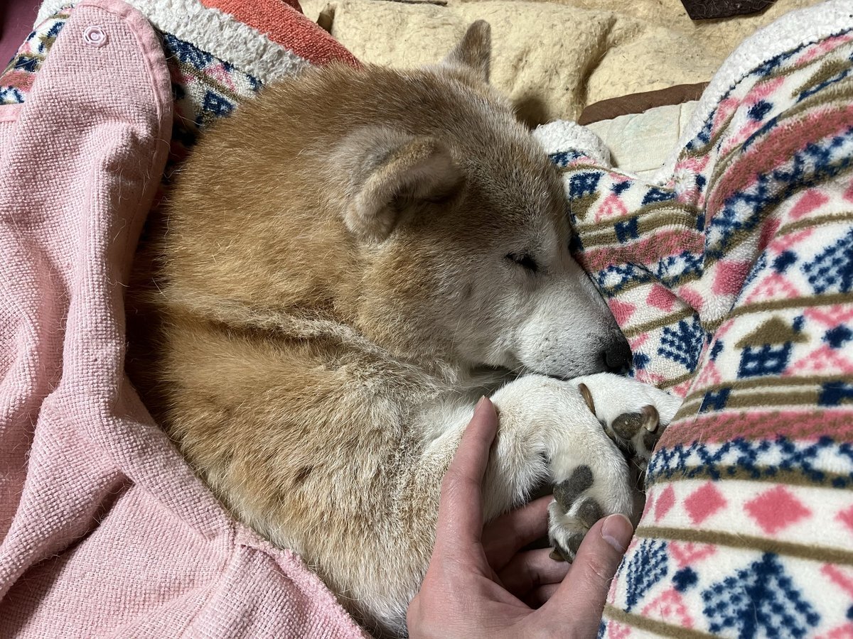 SixTONES、ラジオで「インセプション」の意味を「眠い」と表現！ファンも反応