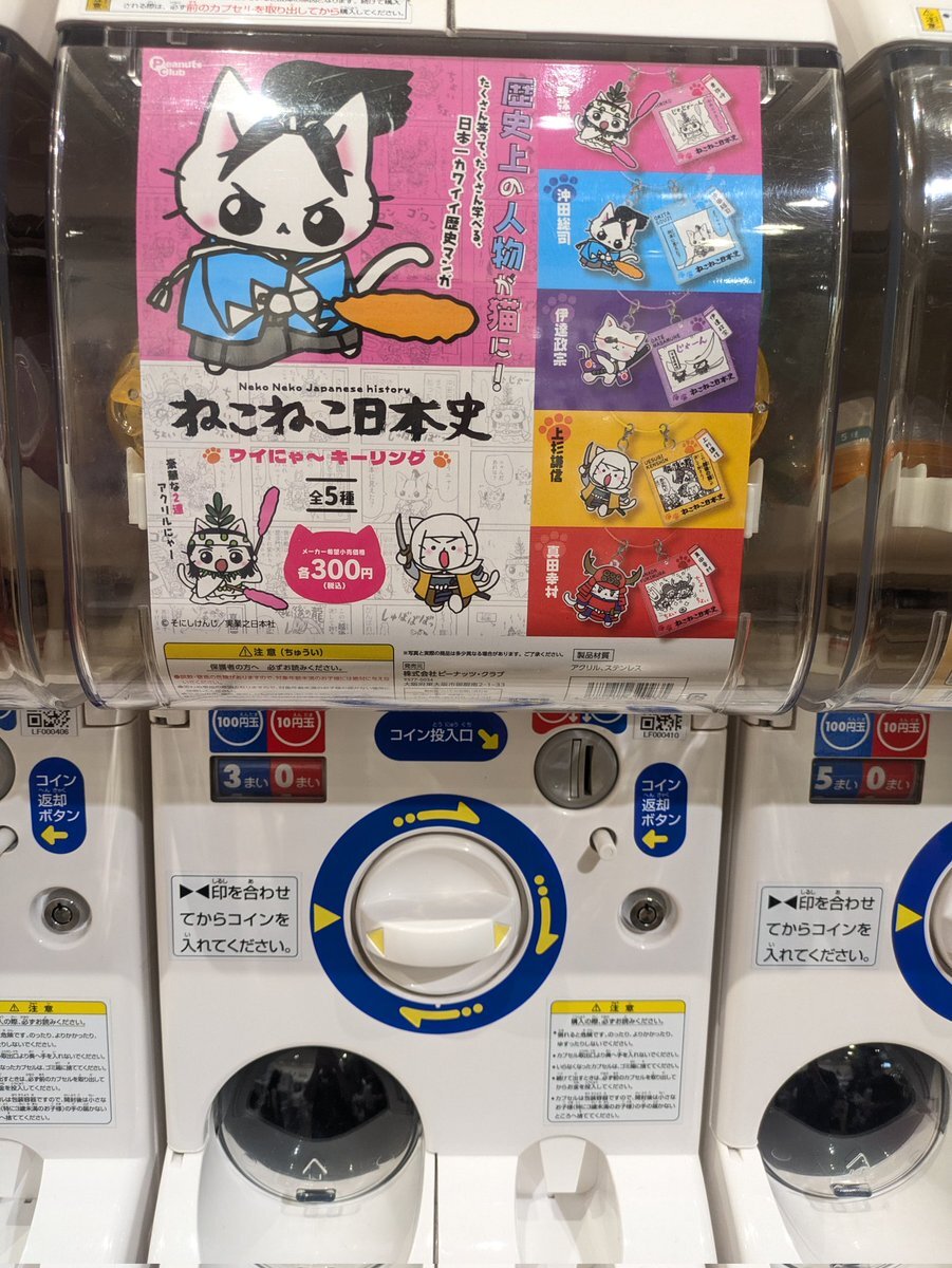 ねこねこ55 Eテレ】ねこねこ55のテーマ曲をハワイ気分で 0655 Hawaiian