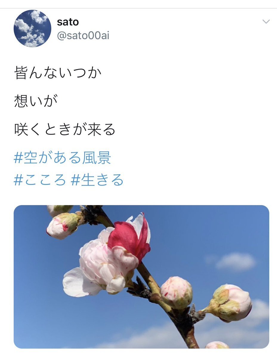 12月スタート！SNSで新しい月への期待の声