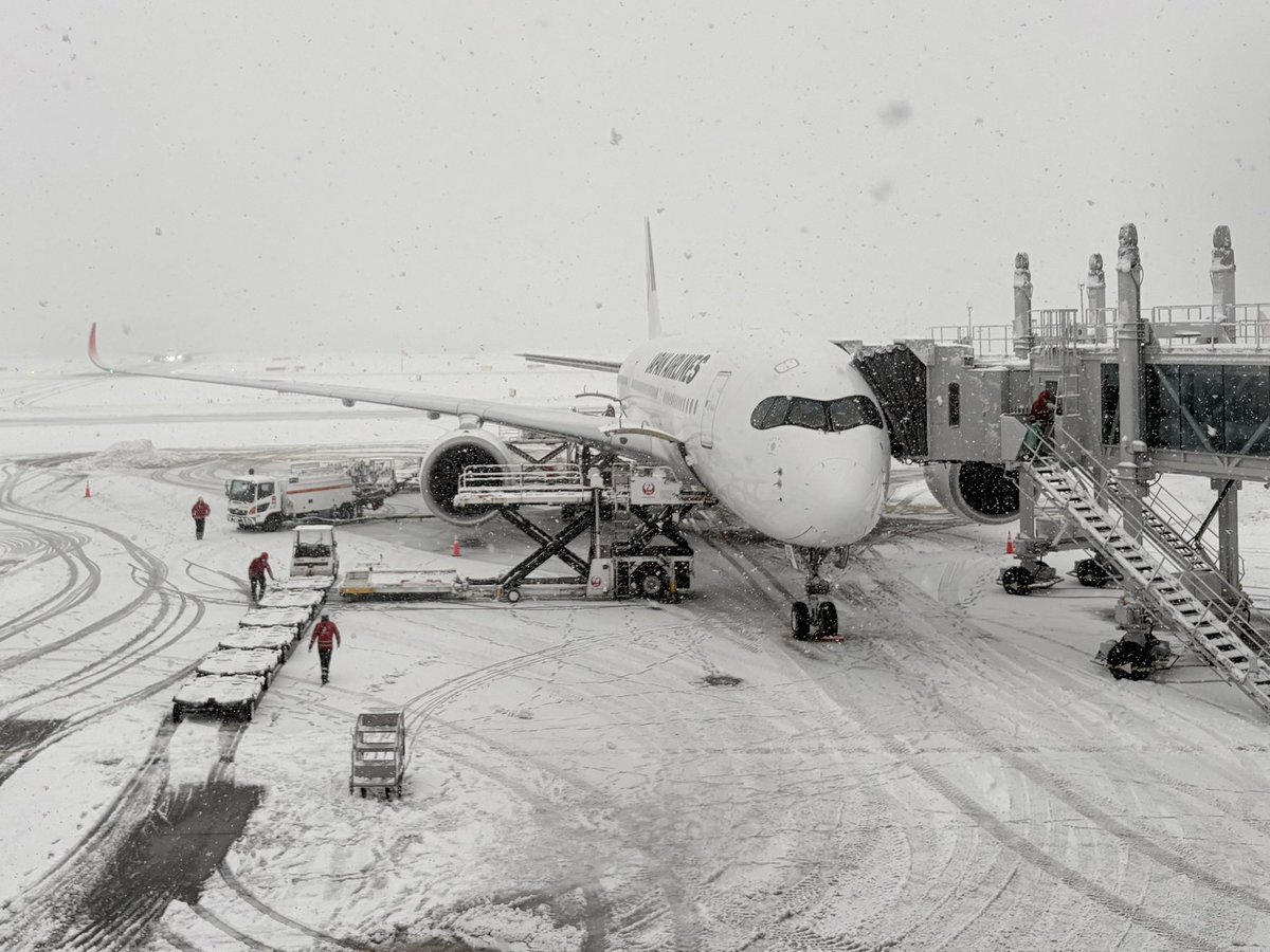 JALのJMBアプリがリニューアル！マイルチャンスに期待の声
