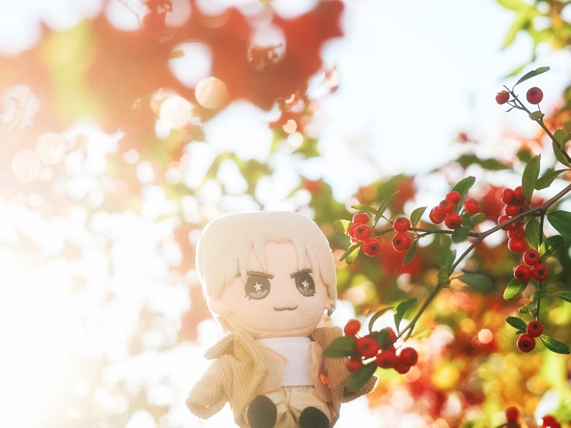 中島健人グッズに新デザイン「おけんとさま」登場！ファン期待高まる