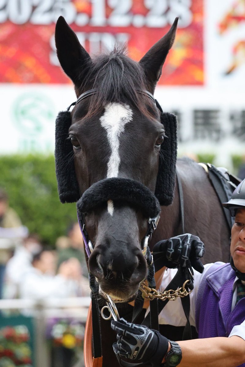 ヴァイルマティ・オルノア、中山競馬で好走！ファン「頑張った！」の声