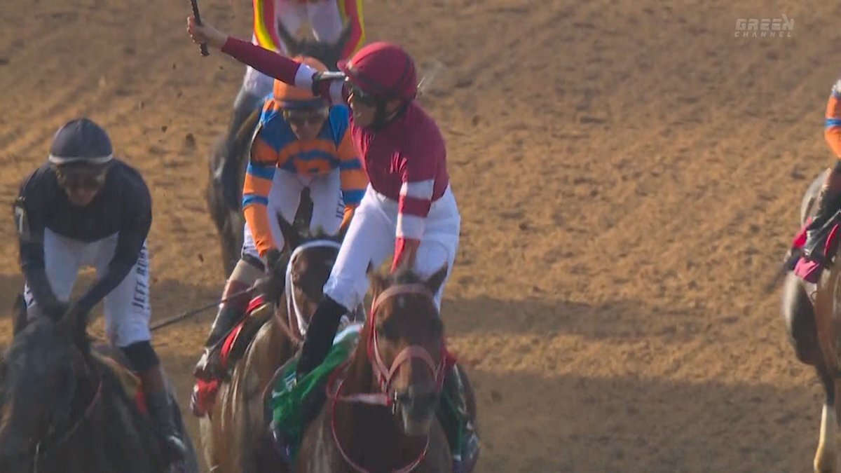 フォーエバーヤングがブリーダーズカップクラシックを制覇！