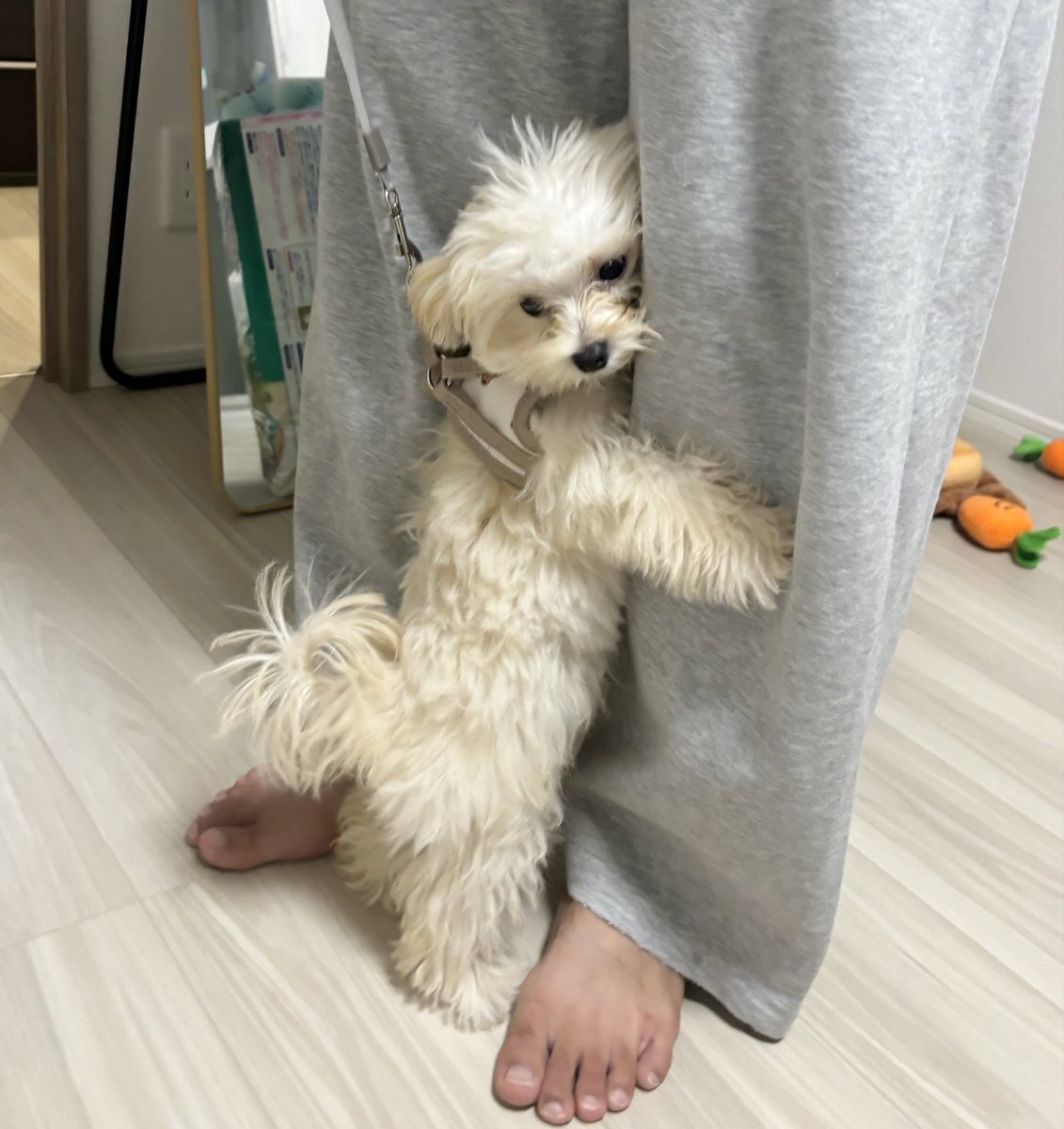 岩田剛典 今市隆二」のYahoo!リアルタイム検索 - X（旧Twitter）を