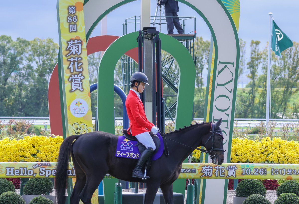 京都競馬場 誘導馬」のYahoo!リアルタイム検索 - X（旧Twitter