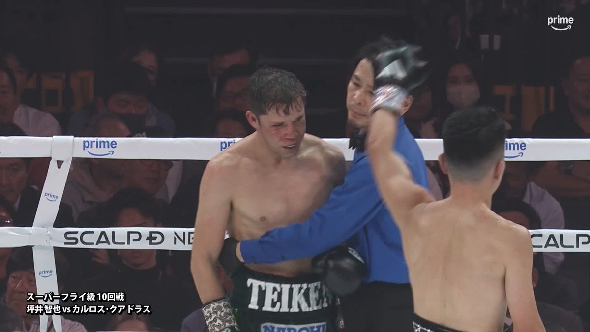 坪井智也、元王者クアドラスをTKO！スーパーフライ級の頂点へ