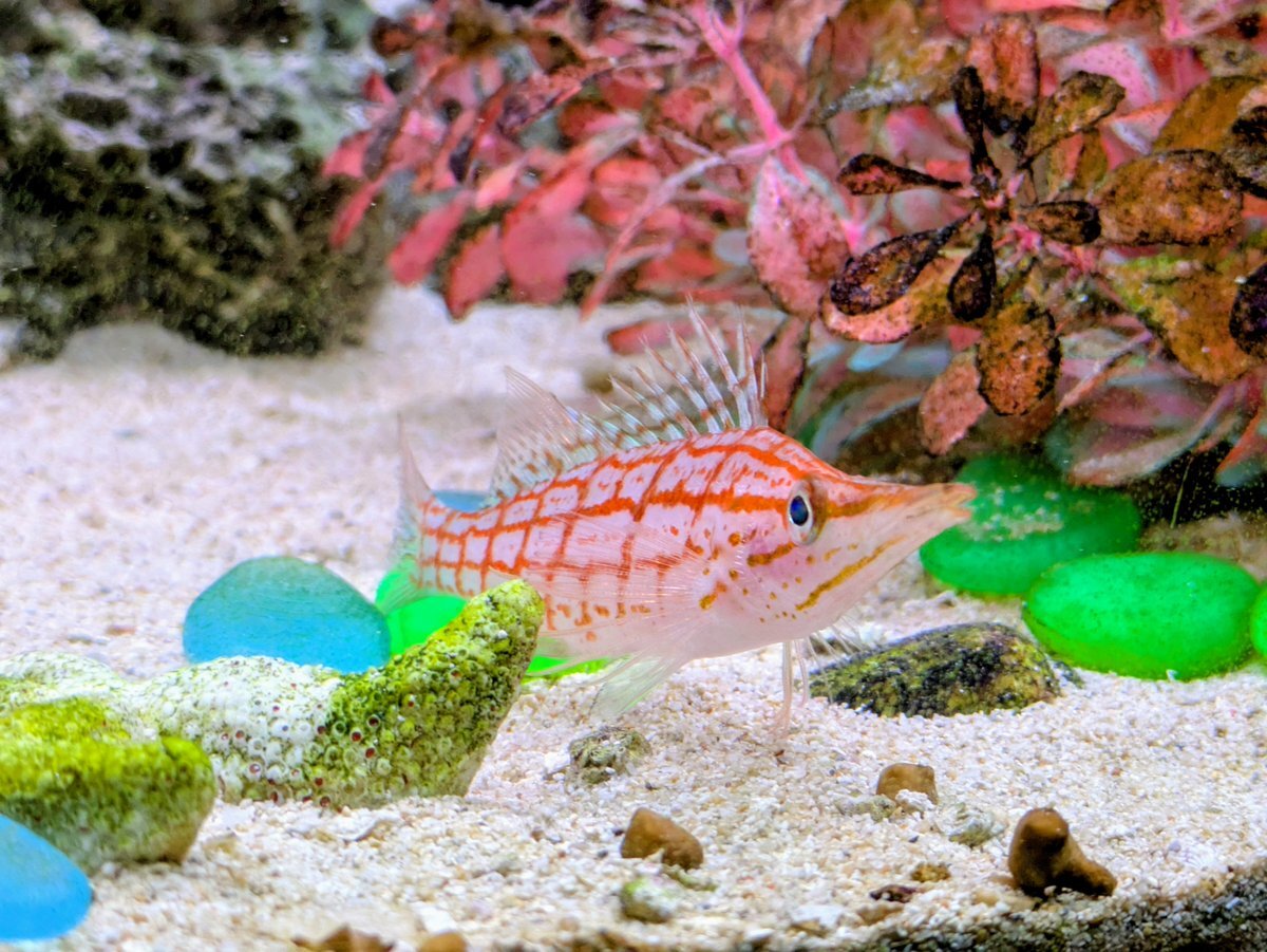 自賠責保険運用益、政府が返還へ検討