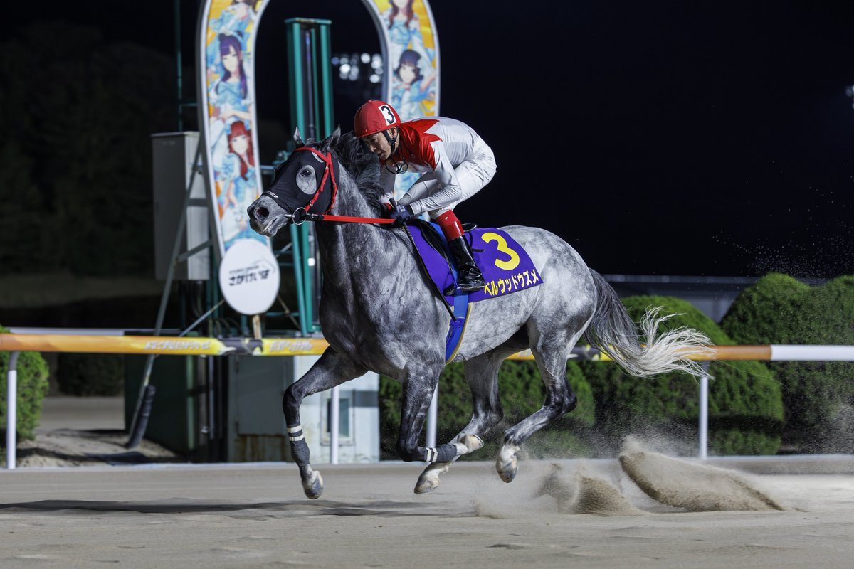 中央から移籍初戦！ベルウッドウズメが九州産グランプリ制覇