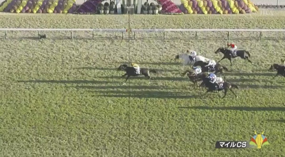 ジャンタルマンタル、マイルチャンピオンシップで圧勝！ファン興奮