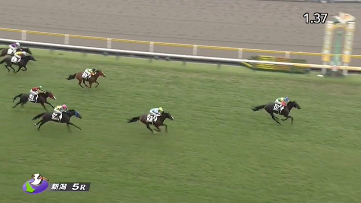 オーライカモン、新馬戦で圧勝！ 