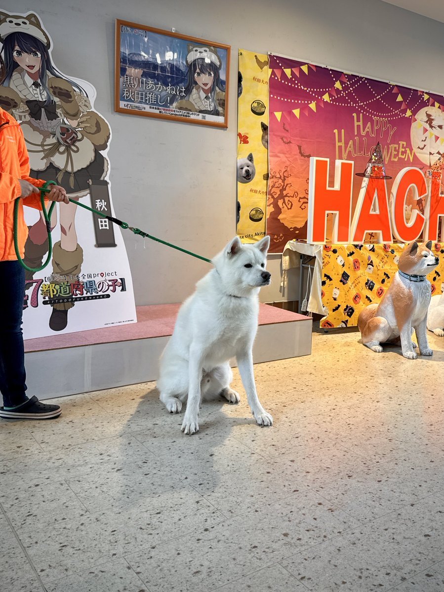 フランスに関する多様な話題がSNSで議論されている