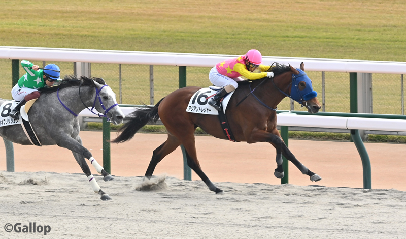 デビュー戦で圧勝！アジアントレジャーは期待される？