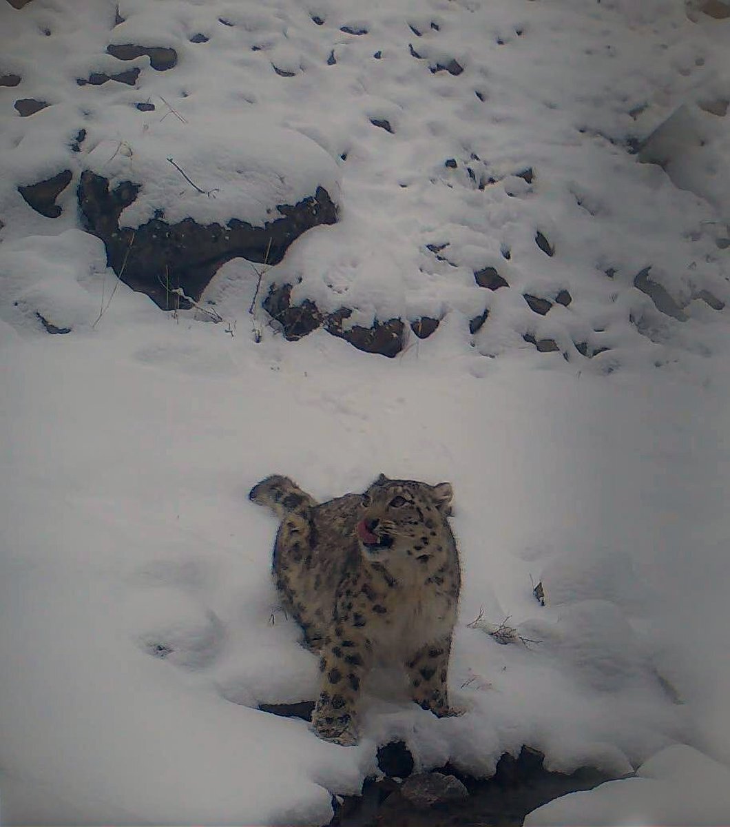 ジョン万次郎が「ラヴィット」で話題に？