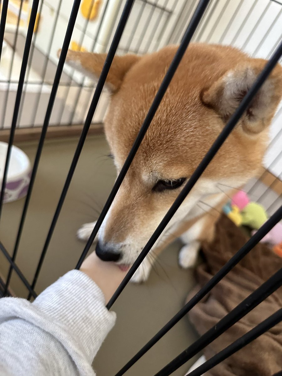 日曜日は何をしている？SNSユーザーの過ごし方を大調査！