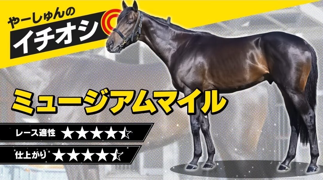 天皇賞秋、スローペースからの上がり勝負！