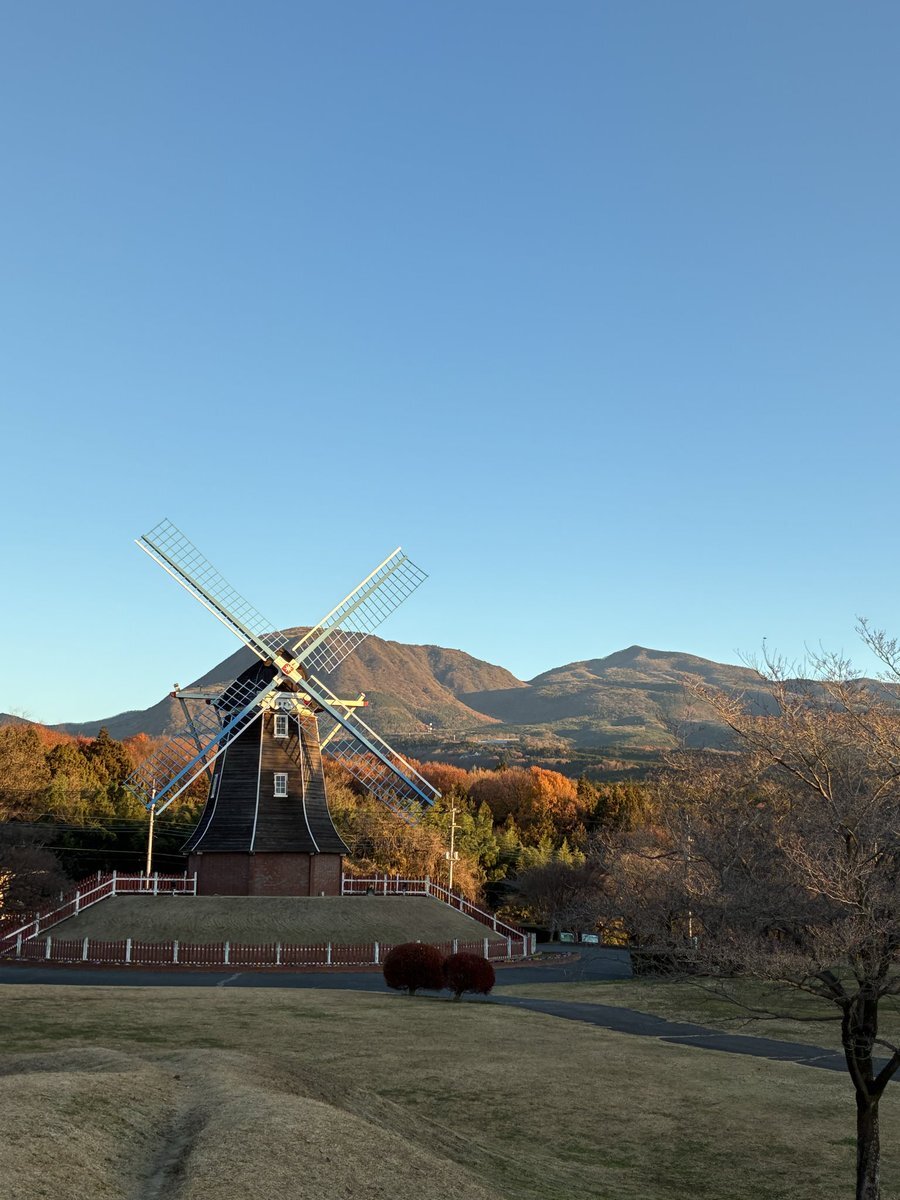 11月最後の日曜日、SNSで過ごす人々の穏やかな休日