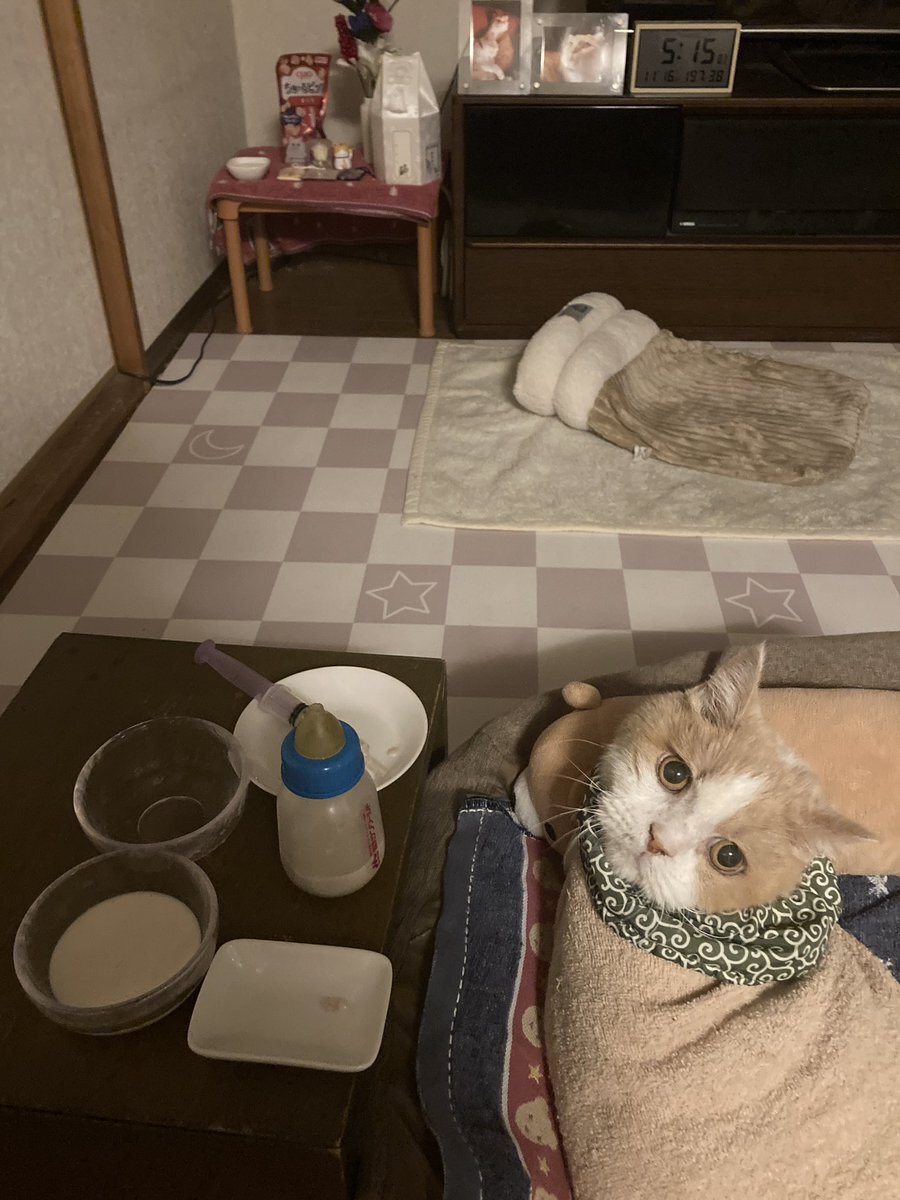 日曜出勤、SNSでどんな声が上がっている？