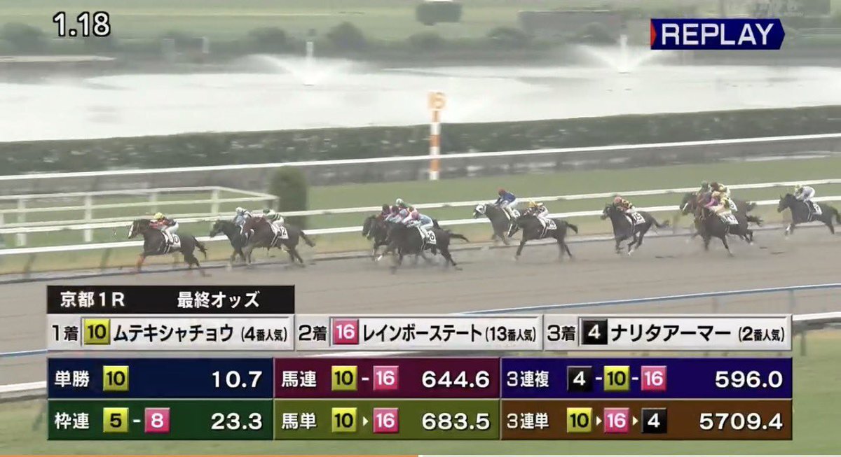 ムテキシャチョウが勝利！京都競馬で話題に