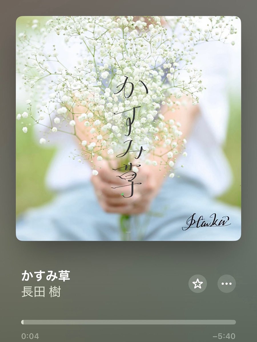 かすみ草です。他の方は購入をお控えください。 kasumisou_02.jpg