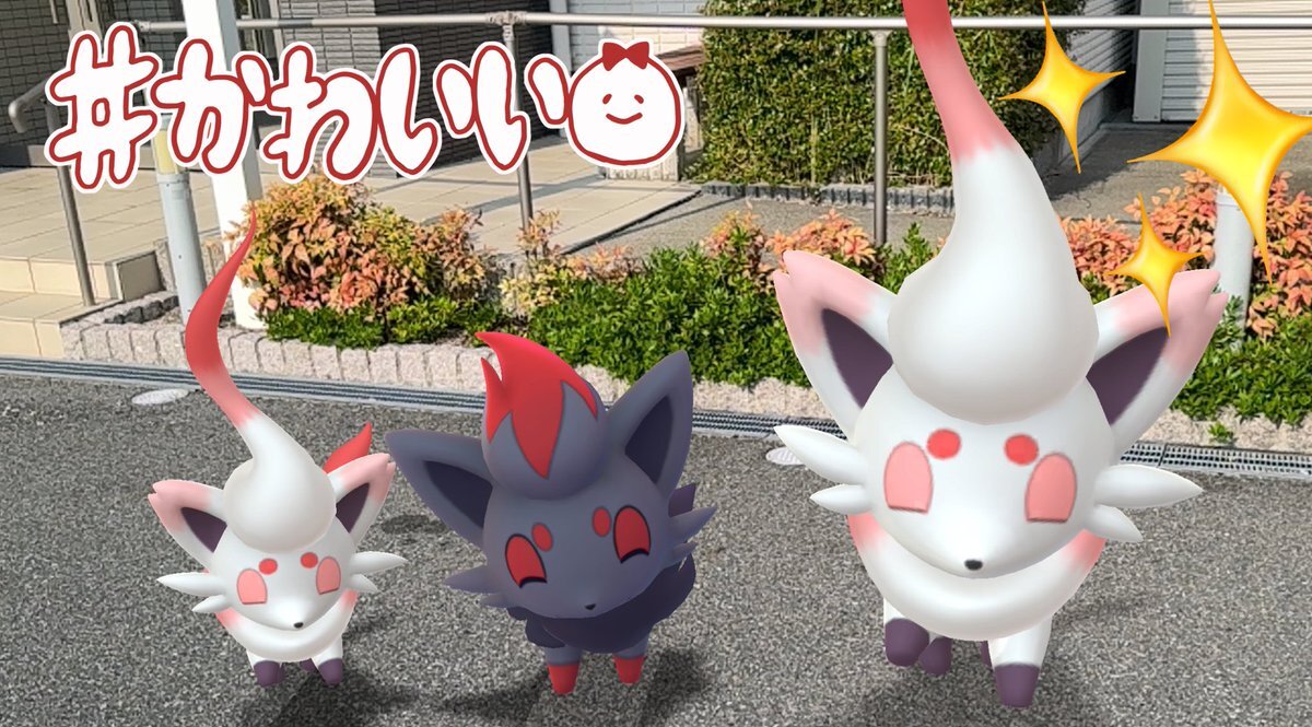 ゾロア xxl」のYahoo!リアルタイム検索 - X（旧Twitter）を