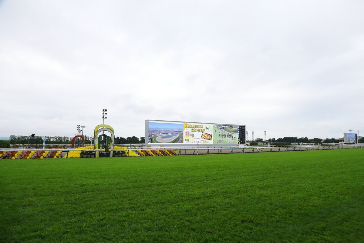 菊花賞：クッション値9.7の稍重馬場が話題に