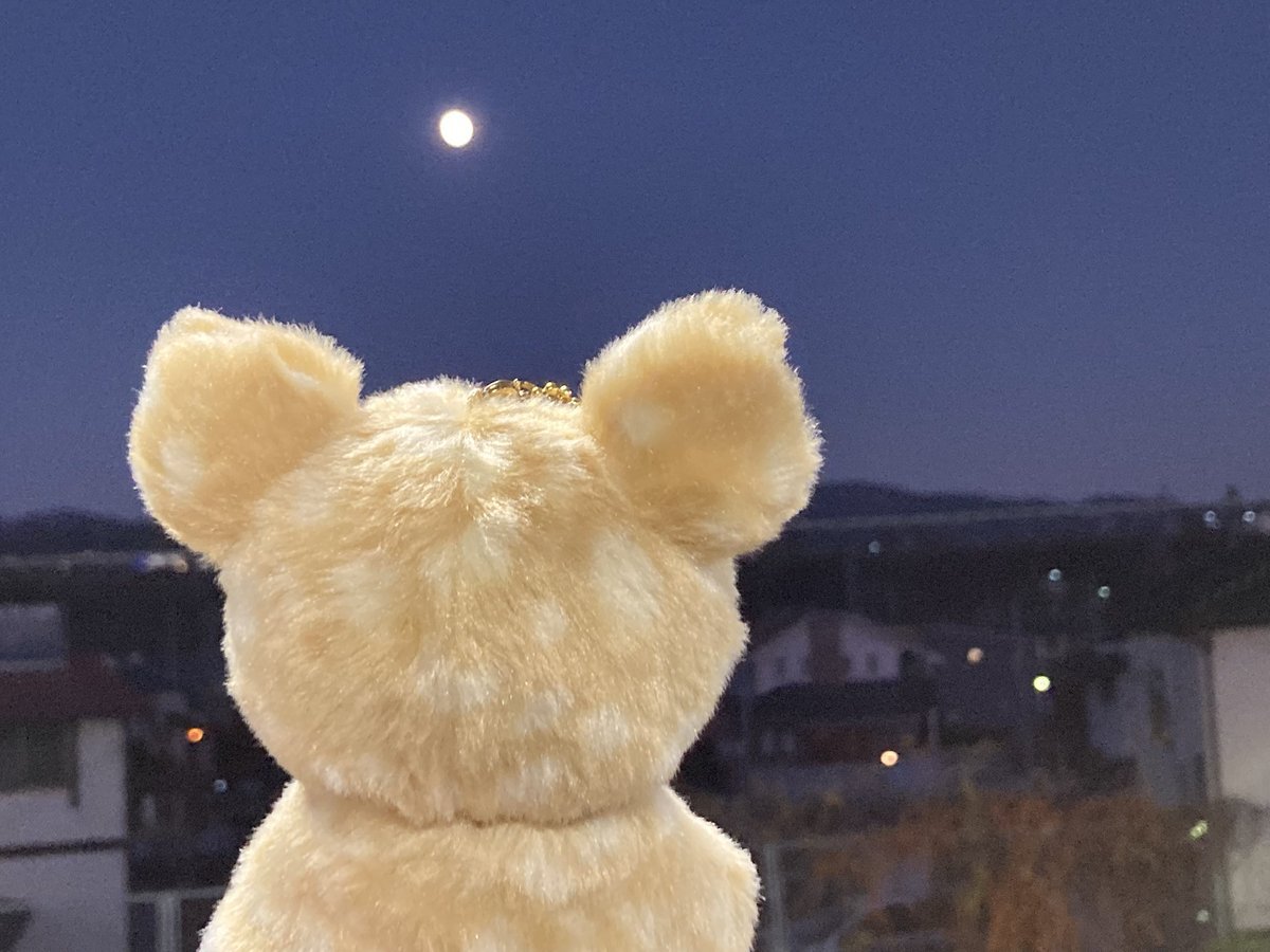 満月が綺麗！SNSで満月鑑賞の投稿が多数