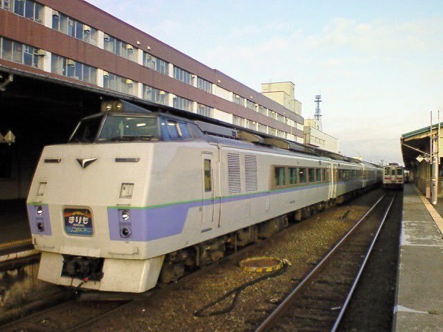 まりも」のYahoo!リアルタイム検索 - X（旧Twitter）を