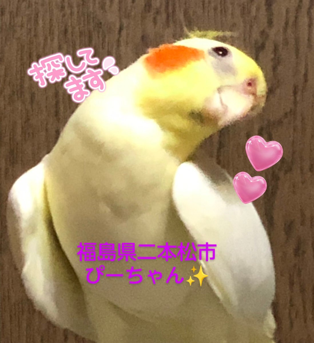 ぴーちゃん」のYahoo!リアルタイム検索 - X（旧Twitter）を