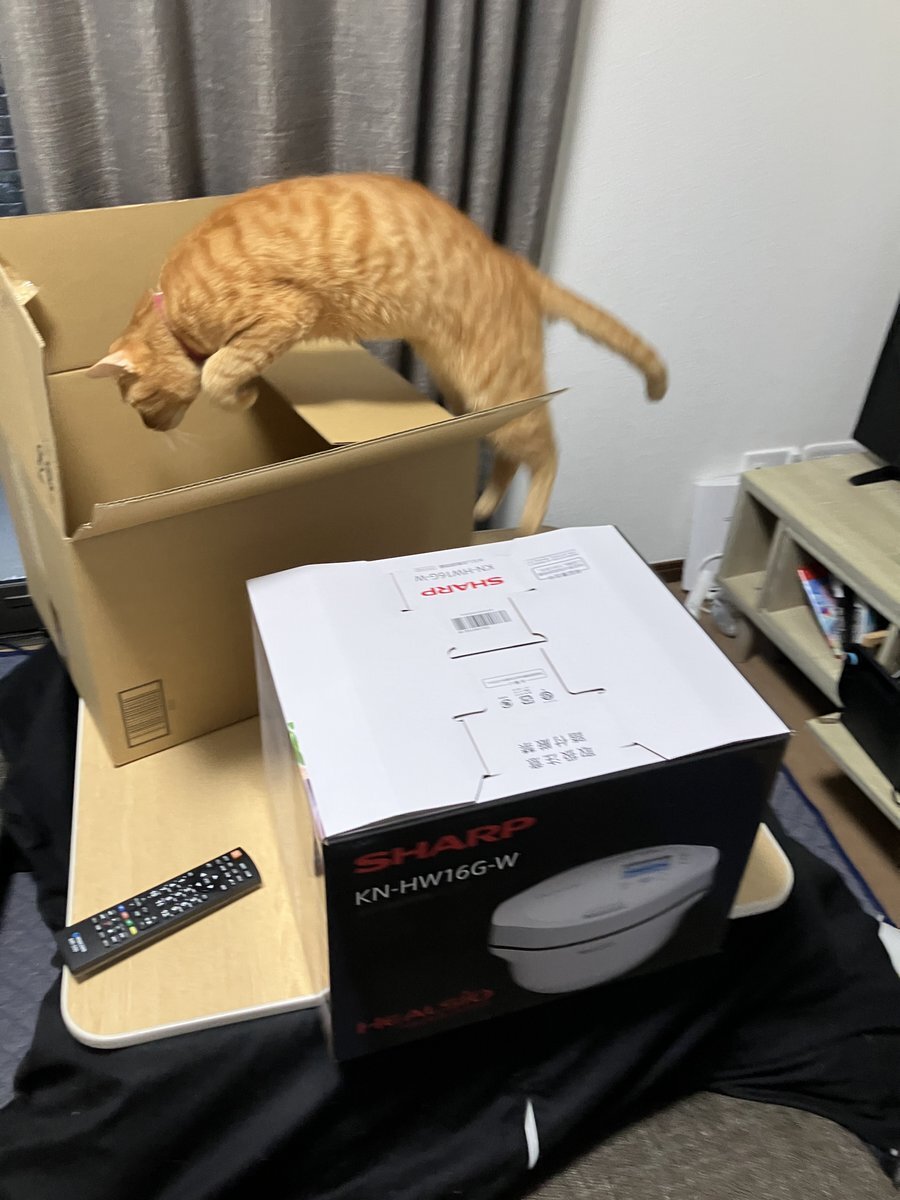 ホットクック、塩分管理や離乳食で話題に！ブラックフライデーで人気上昇