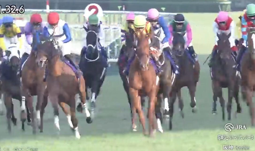 スターアニス、阪神JFで母エピセアロームの悲願を成就