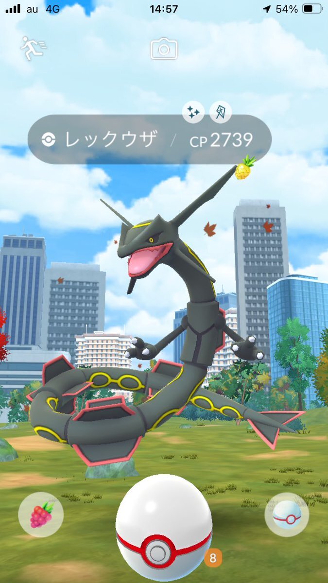 色違いレックウザ、ポケモンGOで話題に
