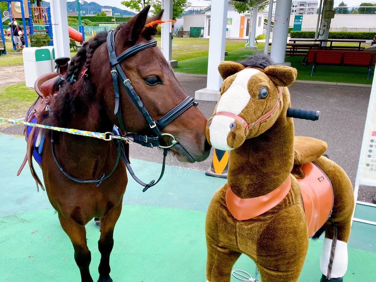 美品 ファクトリー ベビーアルパカ×シルクショートタムタムセーター オレンジ L 美品 ファクトリー ベビーアルパカ×シルクショートタムタムセーター