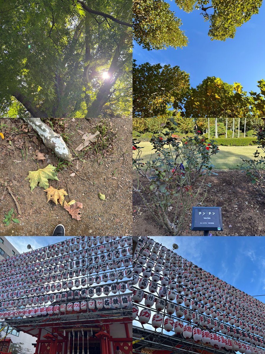 新作スイーツがSNSで話題に！