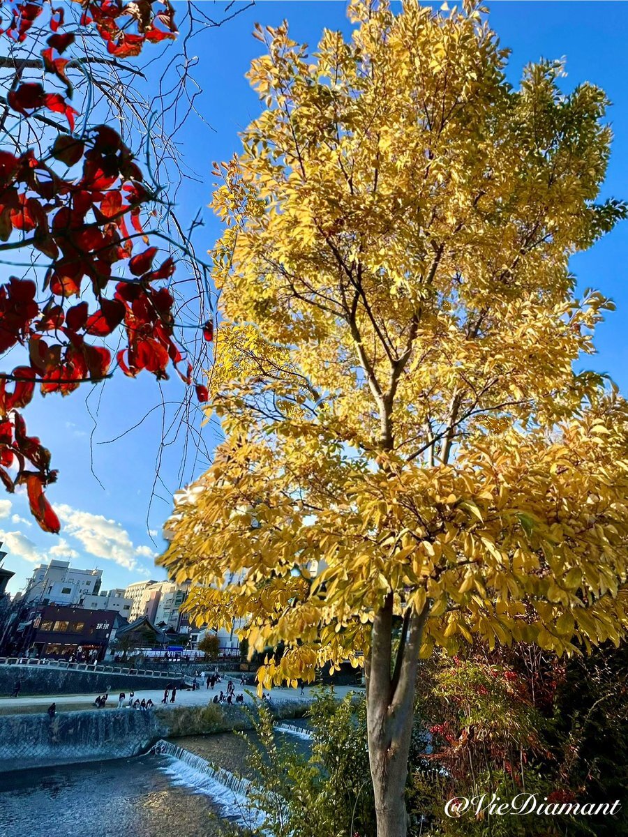 新嘗祭、SNSで感謝の気持ちと伝統の行事が話題に