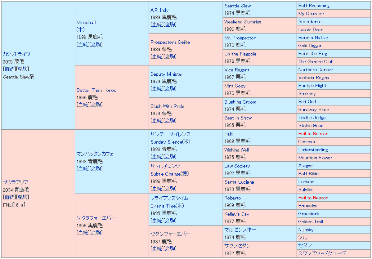 名古屋競馬！予想を覆す大波乱の東海菊花賞は？