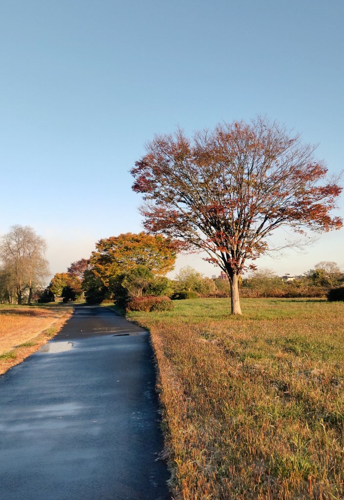 中国、日本産水産物輸入停止通達